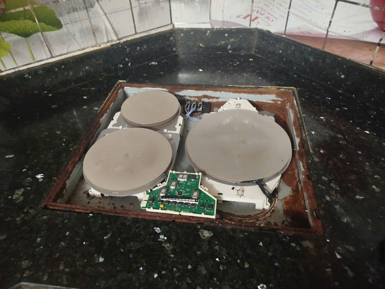 Bếp từ Đức mất giao tiếp