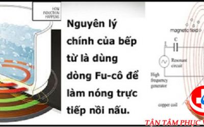 Cấu tạo của bếp từ như thế nào? Nguyên lý hoạt động bếp điện từ ra sao?